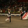 12.05.12 Singolo Tradizionale