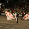 12.05.12 Singolo Tradizionale