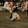 12.05.12 Singolo Tradizionale