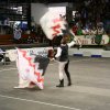 12.05.12 Singolo Tradizionale